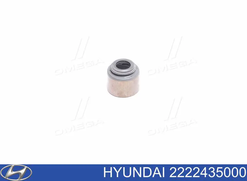 2222435000 Hyundai/Kia Uszczelniacz zaworu dolotowego/wylotowego