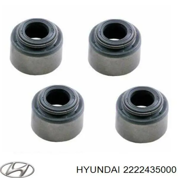 Do koszyka 2222435000 Hyundai/Kia Uszczelniacz zaworu dolotowego/wylotowego