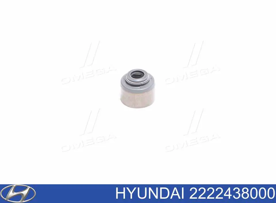2222438000 Hyundai/Kia Uszczelniacz zaworu dolotowego/wylotowego