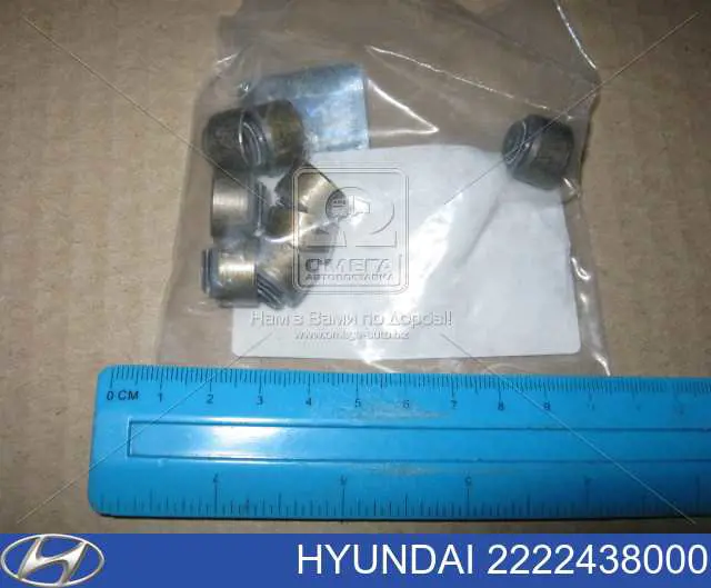 Uszczelniacz zaworu dolotowego/wylotowego Hyundai/Kia 2222438000 cena, od 1,93 USD