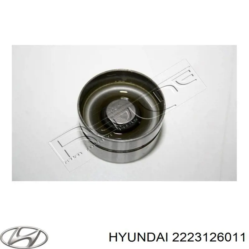 Do koszyka 2223126011 Hyundai/Kia Kompensator hydrauliczny (popychacz hydrauliczny), popychacz zaworu