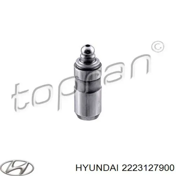 Do koszyka 2223127900 Hyundai/Kia Kompensator hydrauliczny (popychacz hydrauliczny), popychacz zaworu