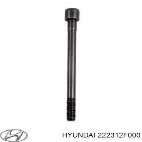 222312F000 Hyundai/Kia Kompensator hydrauliczny (popychacz hydrauliczny), popychacz zaworu