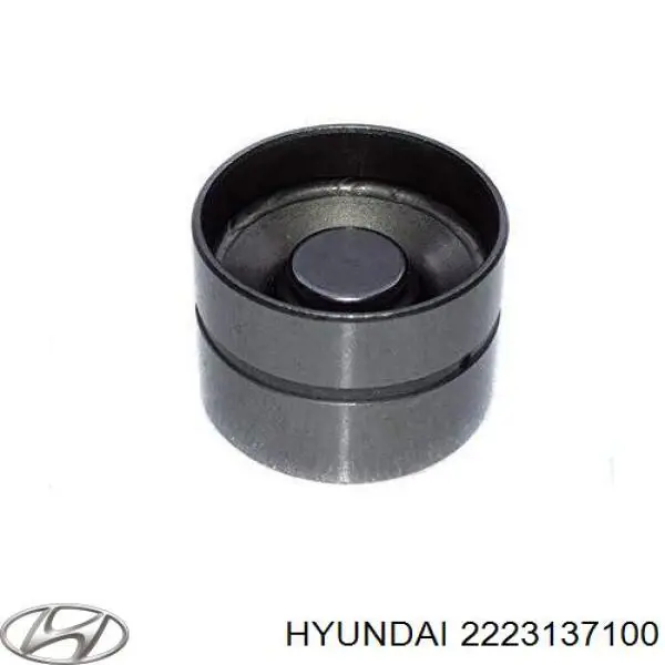Kompensator hydrauliczny (popychacz hydrauliczny), popychacz zaworu Hyundai/Kia 2223137100