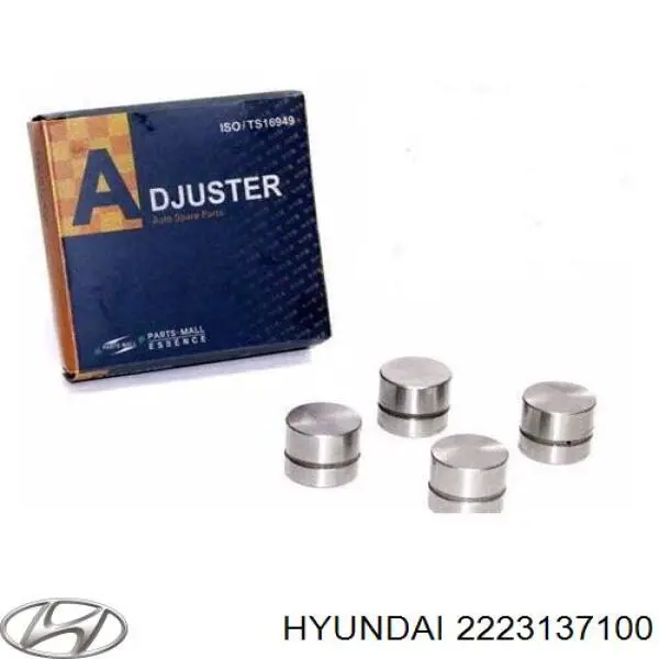 Kompensator hydrauliczny (popychacz hydrauliczny), popychacz zaworu Hyundai/Kia 2223137100 cena, od 12,39 USD