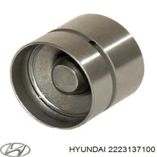 Do koszyka 2223137100 Hyundai/Kia Kompensator hydrauliczny (popychacz hydrauliczny), popychacz zaworu