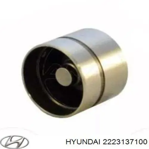 Kompensator hydrauliczny (popychacz hydrauliczny), popychacz zaworu Hyundai/Kia 2223137100 cena, od 12,39 USD