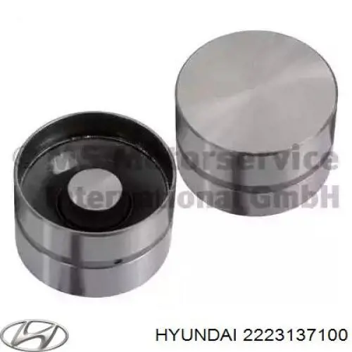 2223137100 Hyundai/Kia Kompensator hydrauliczny (popychacz hydrauliczny), popychacz zaworu