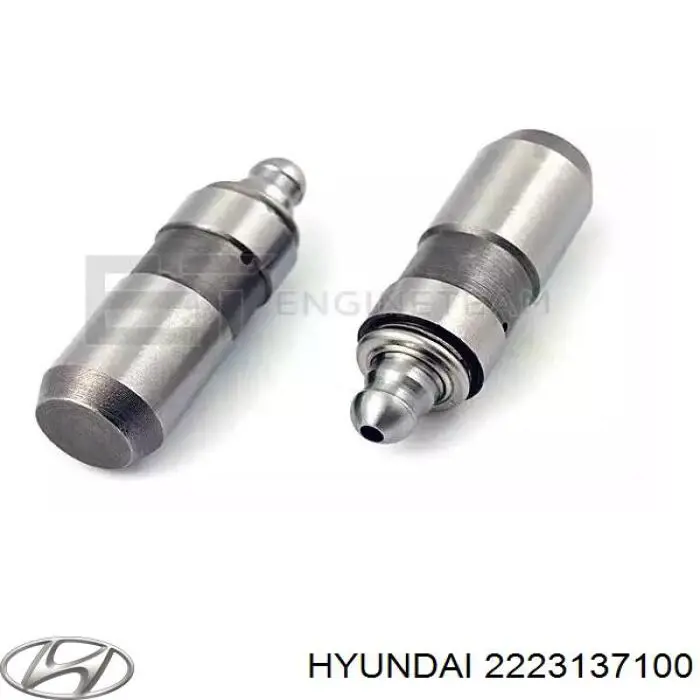 Do koszyka 2223137100 Hyundai/Kia Kompensator hydrauliczny (popychacz hydrauliczny), popychacz zaworu
