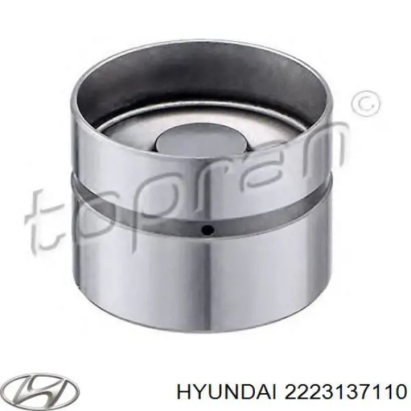 Kompensator hydrauliczny (popychacz hydrauliczny), popychacz zaworu Hyundai/Kia 2223137110 cena, od 11,30 USD