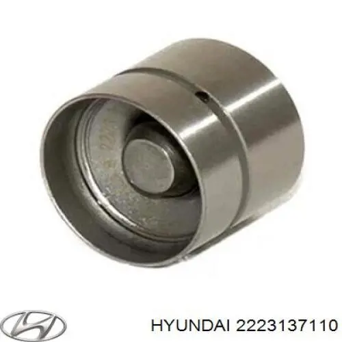 Do koszyka 2223137110 Hyundai/Kia Kompensator hydrauliczny (popychacz hydrauliczny), popychacz zaworu