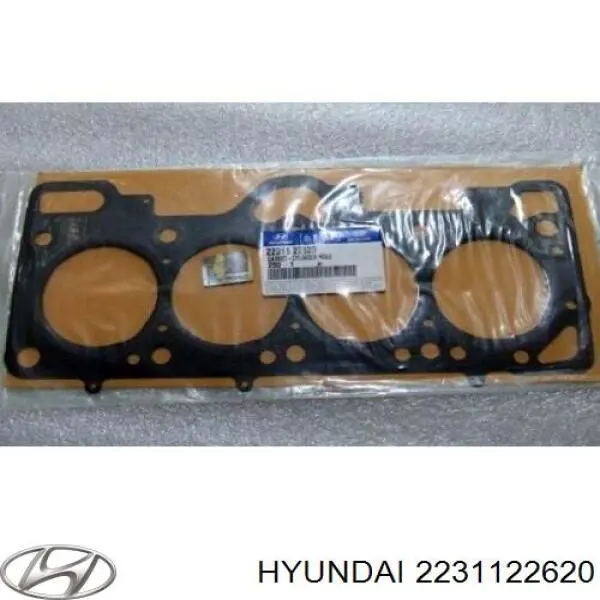 Uszczelka głowicy cylindrów Hyundai/Kia 2231122620 cena, od 24,63 USD