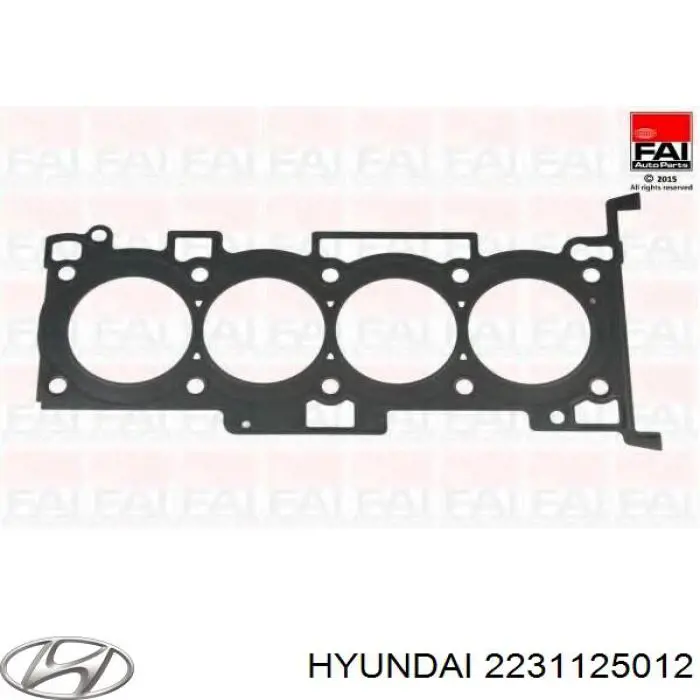 Uszczelka głowicy cylindrów Hyundai/Kia 2231125012 cena, od 19,20 USD