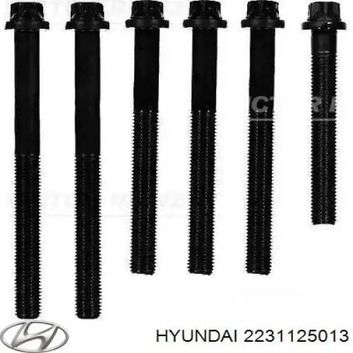 Do koszyka 2231125013 Hyundai/Kia Uszczelka głowicy cylindrów