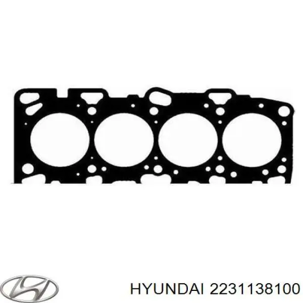 2231138100 Hyundai/Kia Uszczelka głowicy cylindrów