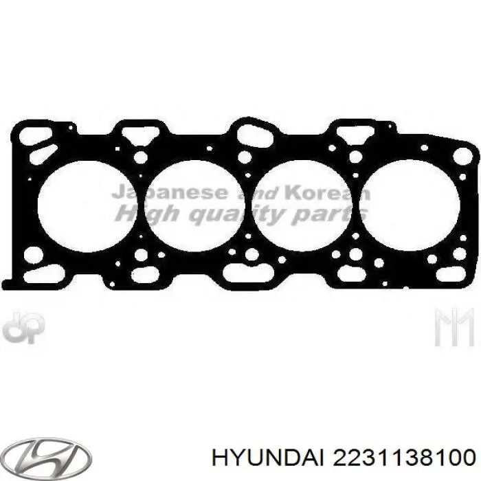 Do koszyka 2231138100 Hyundai/Kia Uszczelka głowicy cylindrów