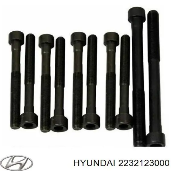 2232123000 Hyundai/Kia Śruba głowicy cylindrów