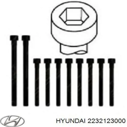 Śruba głowicy cylindrów Hyundai/Kia 2232123000 cena, od 7,22 USD