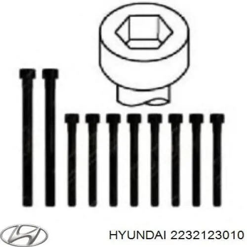2232123010 Hyundai/Kia Śruba głowicy cylindrów