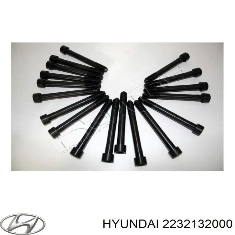 Śruba głowicy cylindrów Hyundai/Kia 2232132000 cena, od 3,88 USD