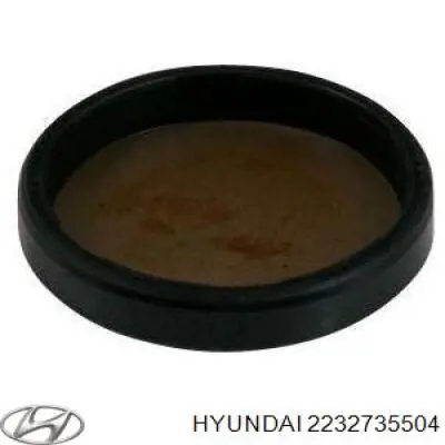 Zaślepka głowicy cylindrów/bloku cylindrów Hyundai Sonata IV sedana (EF) (1998 - 2001) cena, od 3,14 USD