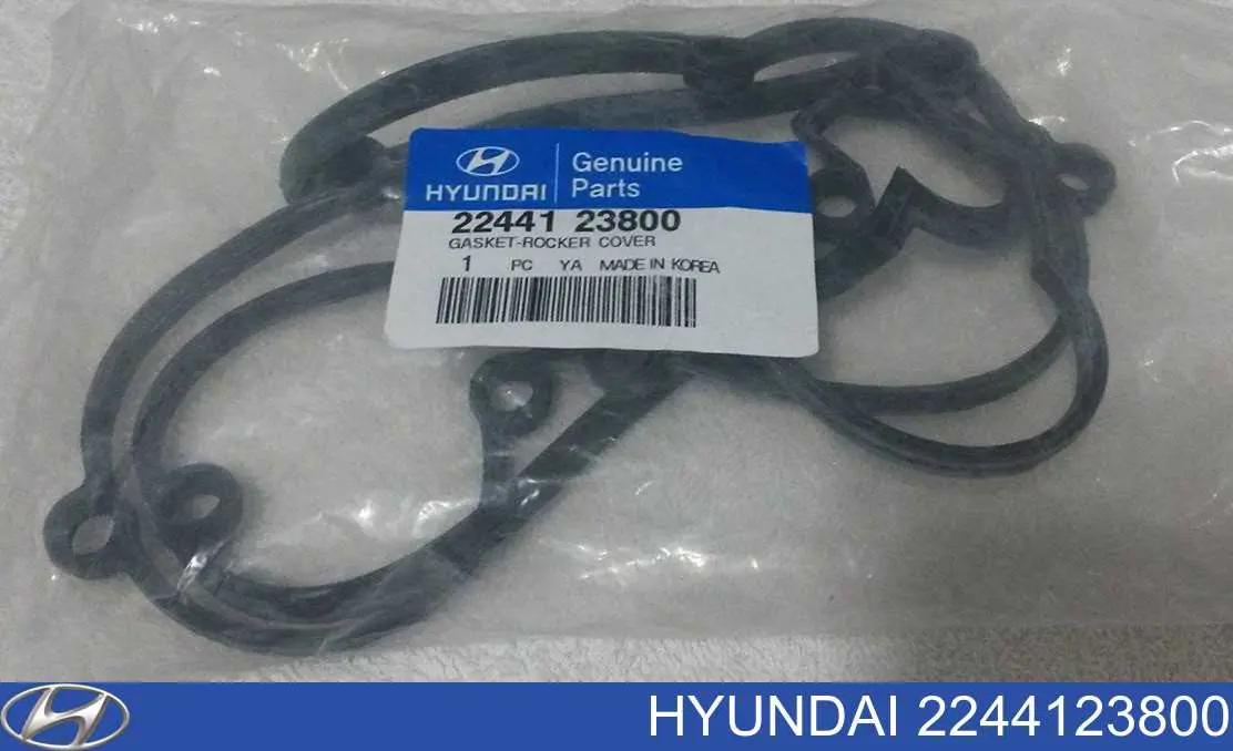 2244123800 Hyundai/Kia Uszczelka pokrywy zaworowej silnika