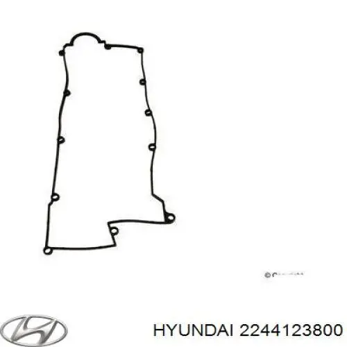 Uszczelka pokrywy zaworowej silnika Hyundai/Kia 2244123800 cena, od 11,37 USD
