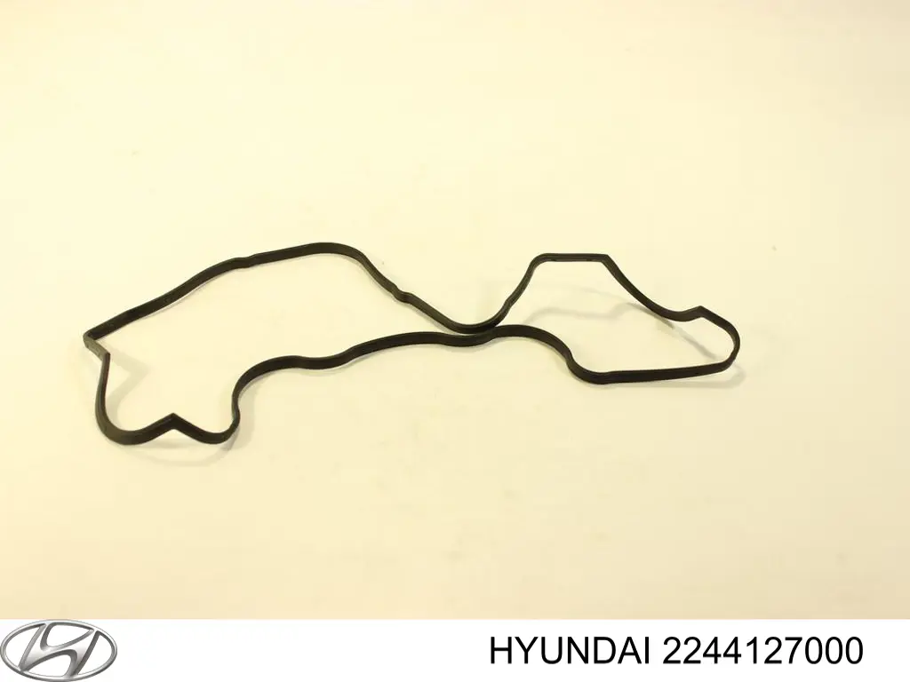 Uszczelka pokrywy zaworowej silnika Hyundai/Kia 2244127000 cena, od 9,42 USD