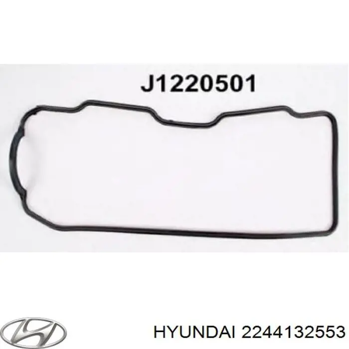 2244132553 Hyundai/Kia Uszczelka pokrywy zaworowej silnika