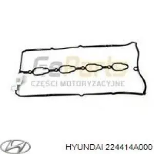 Uszczelka pokrywy zaworowej silnika Hyundai/Kia 224414A000 cena, od 12,62 USD