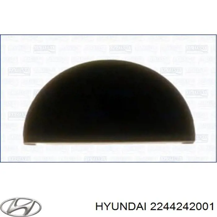 2244242001 Hyundai/Kia Uszczelka pokrywy zaworowej silnika, tylny segment