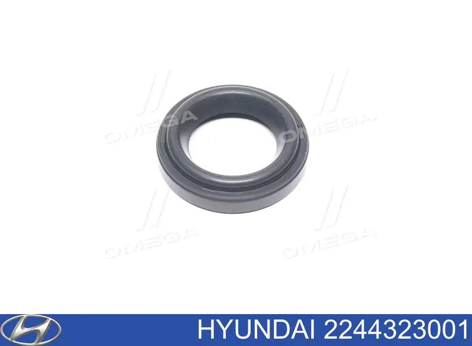 2244323001 Hyundai/Kia pierścień uszczelniający gniazda świecy