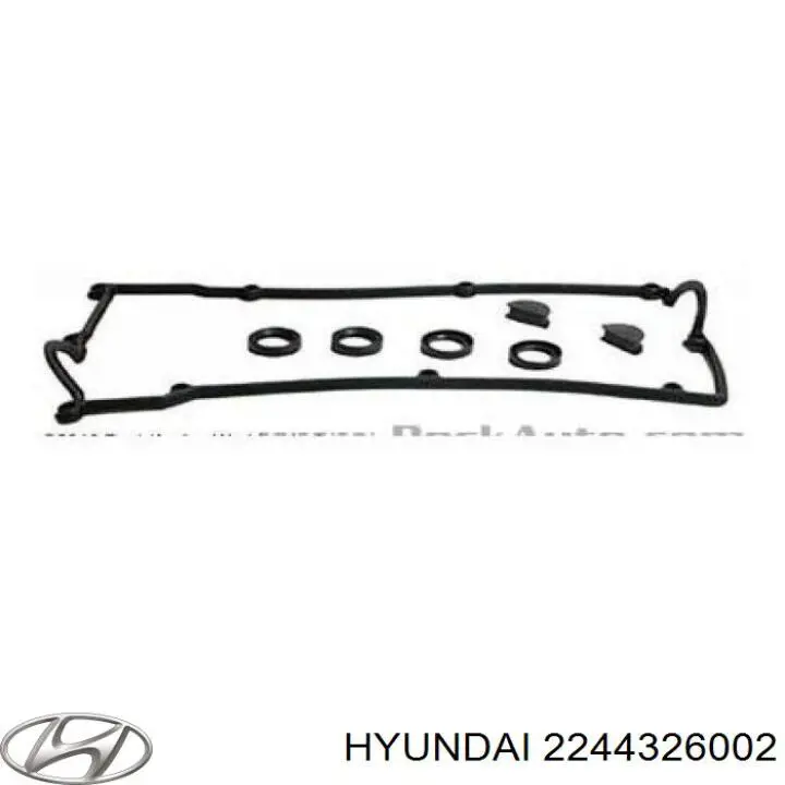 2244326002 Hyundai/Kia Pierścień uszczelniający gniazda świecy