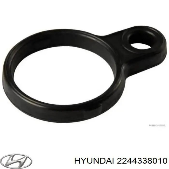 2244338010 Hyundai/Kia pierścień uszczelniający gniazda świecy