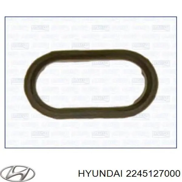 Pierścień uszczelniający wtryskiwacza Hyundai/Kia 2245127000 cena, od 5,03 USD
