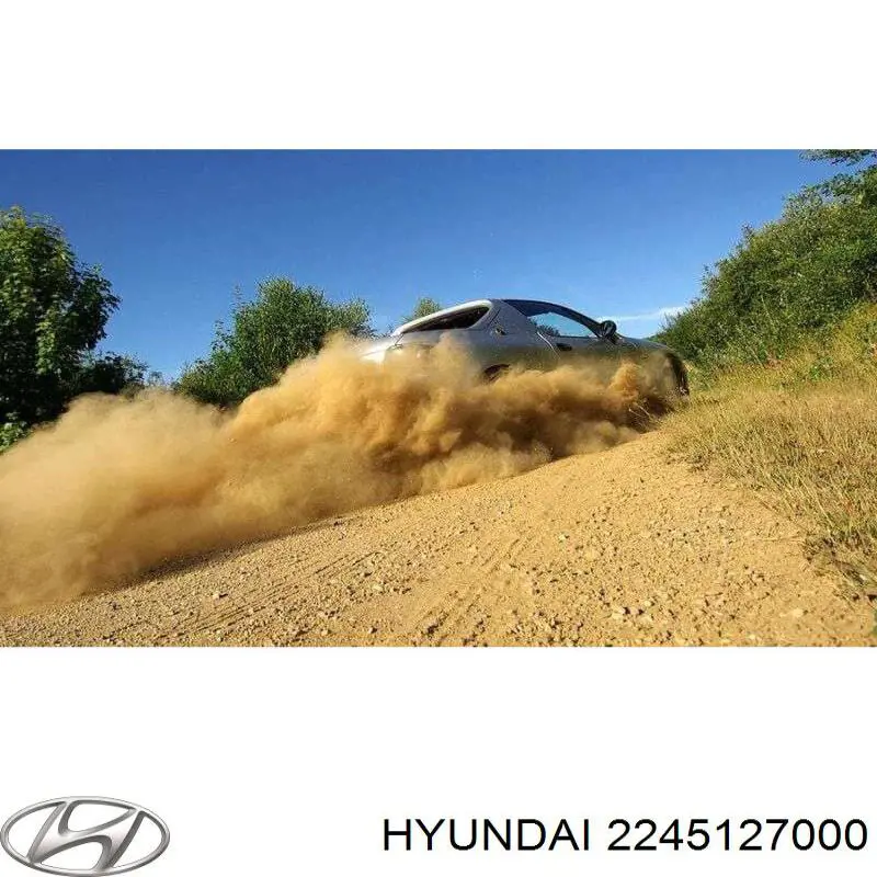 Do koszyka 2245127000 Hyundai/Kia Pierścień uszczelniający wtryskiwacza