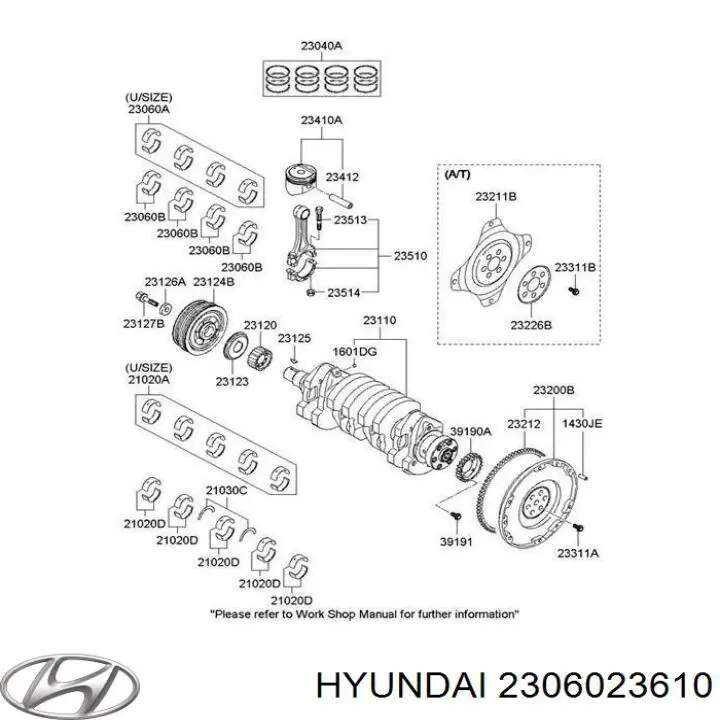 2306023610 Hyundai/Kia panewki korbowodowe wału korbowego, zestaw, standardowe (std)