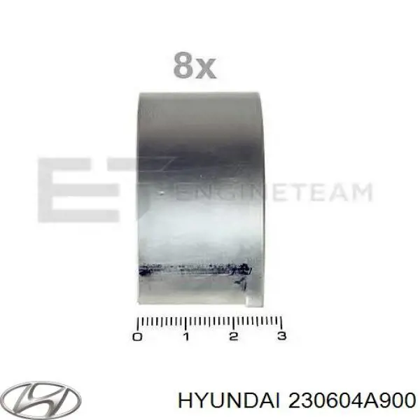 Panewki korbowodowe wału korbowego, zestaw, standardowe (STD) Hyundai/Kia 230604A900 cena, od 10,52 USD
