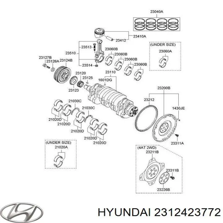 2312423772 Hyundai/Kia koło pasowe wału korbowego