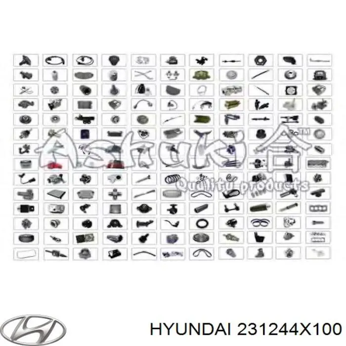 Koło pasowe wału korbowego Hyundai/Kia 231244X100 cena, od 73,21 USD