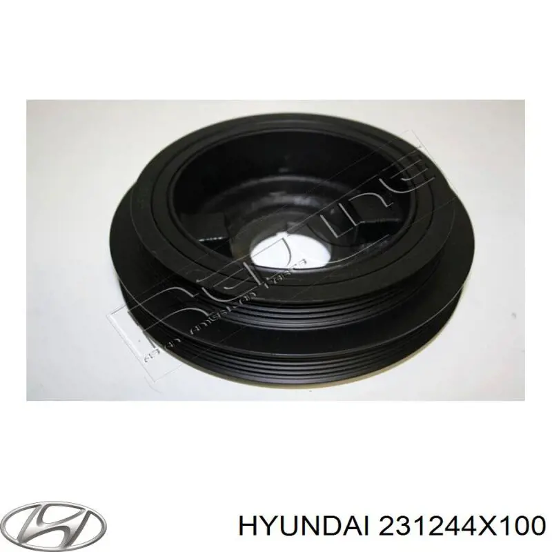 Do koszyka 231244X100 Hyundai/Kia Koło pasowe wału korbowego