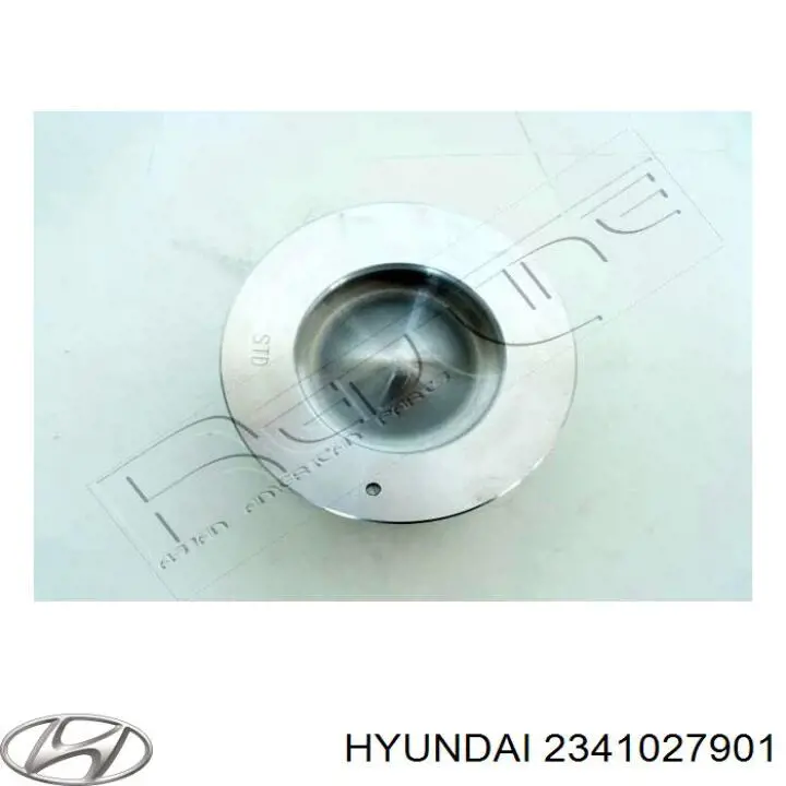 Do koszyka 2341027901 Hyundai/Kia Tłok, komplet do jednego cylindru, STD