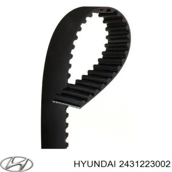 Pasek rozrządu Hyundai/Kia 2431223002 cena, od 11,23 USD