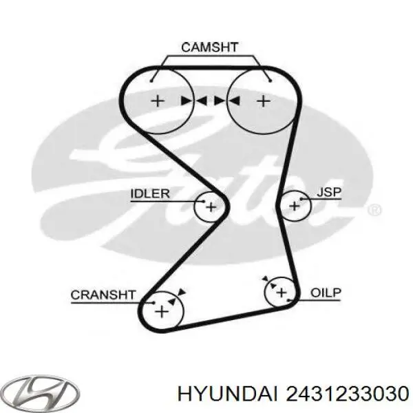 Pasek rozrządu 2431233030 Hyundai/Kia