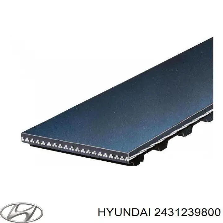 Pasek rozrządu 2431239800 Hyundai/Kia