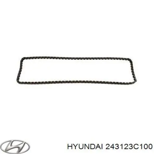 243123C100 Hyundai/Kia łańcuch rozrządu