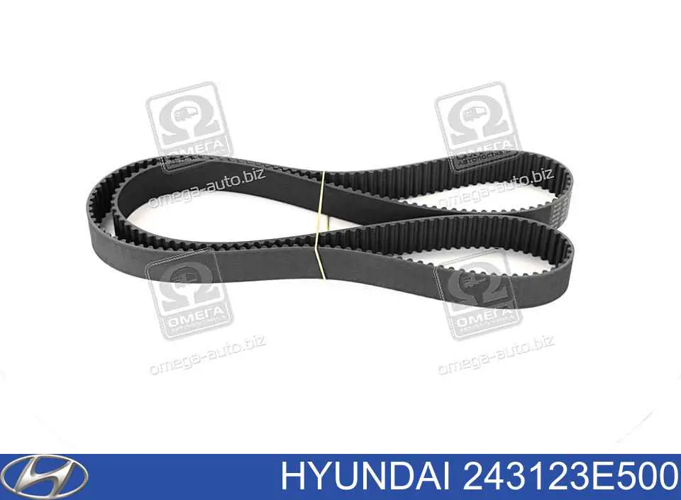 243123E500 Hyundai/Kia Pasek rozrządu