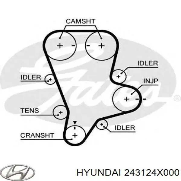 Pasek rozrządu Hyundai/Kia 243124X000 cena, od 53,24 USD