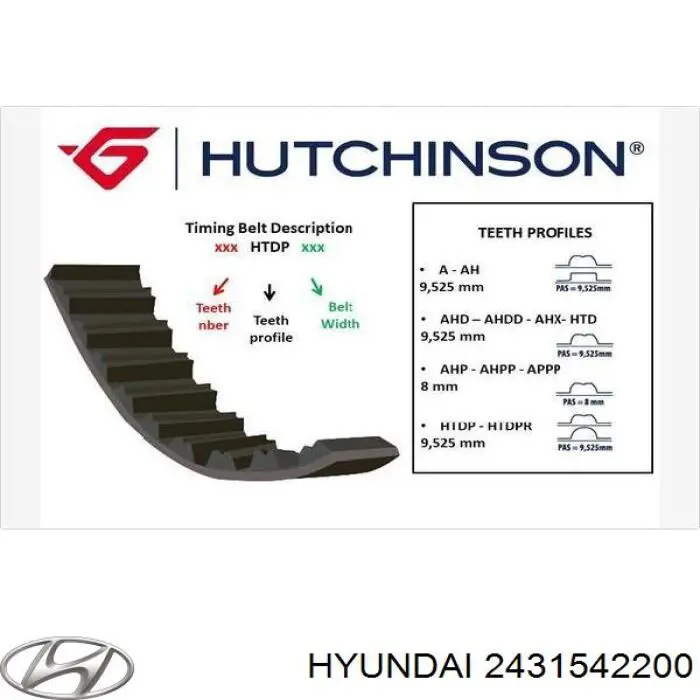 2431542200 Hyundai/Kia Pasek rozrządu