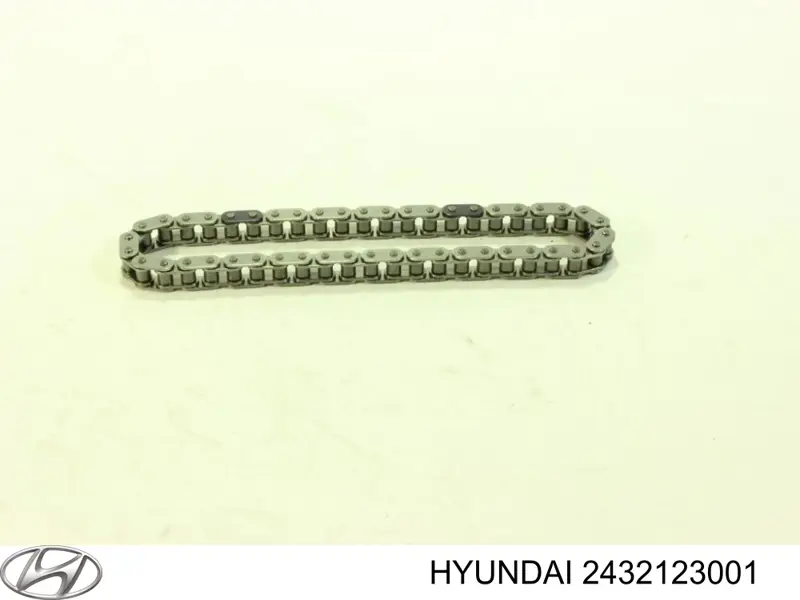Do koszyka 2432123011 Hyundai/Kia Łańcuch rozrządu